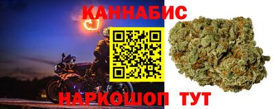 шишки Обь