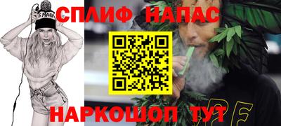 шишки Обь